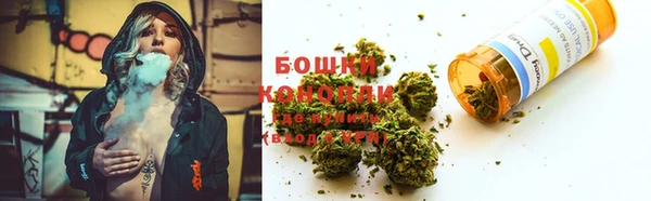 гидра Бронницы
