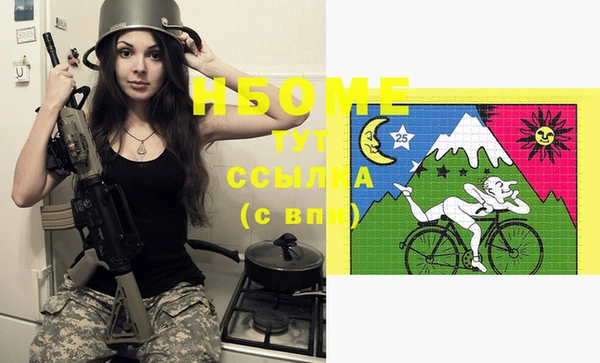 гидра Бронницы