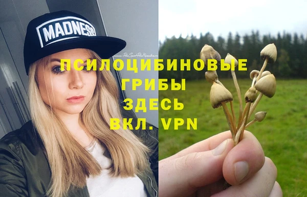 соль курить ск Бородино