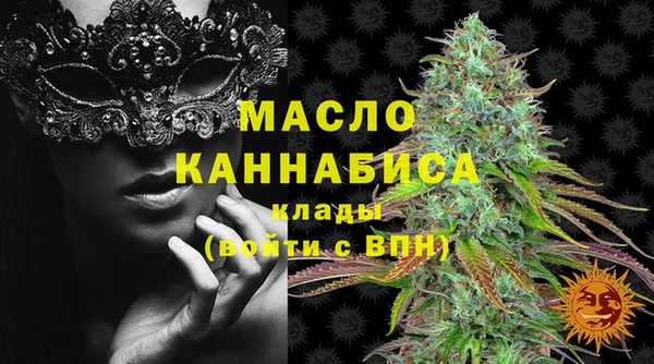 гидра Бронницы