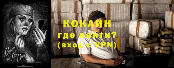 гидра Бронницы