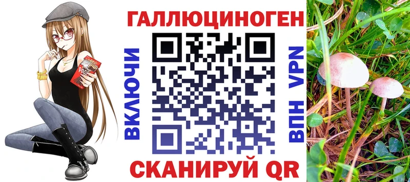 сколько стоит  Торжок  Галлюциногенные грибы мухоморы 