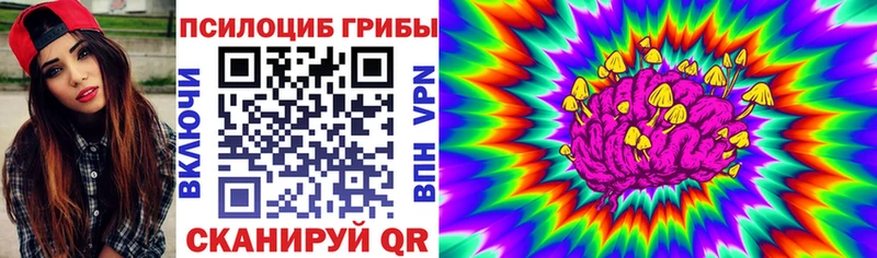 Псилоцибиновые грибы GOLDEN TEACHER Торжок